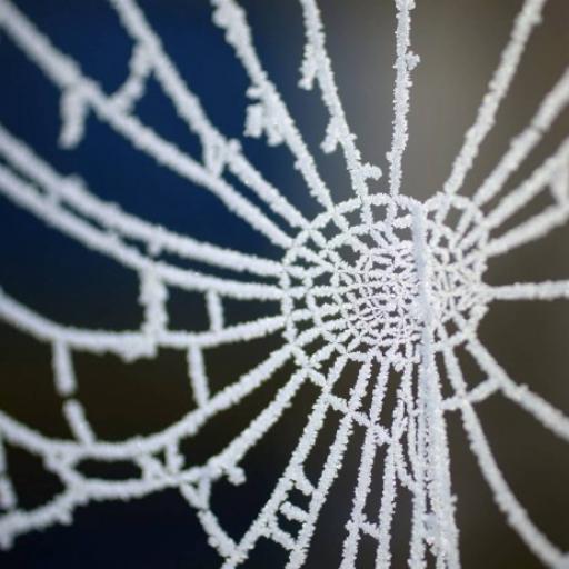 Nature is the ultimate designer: Winter