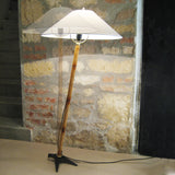 "Butterfly" Floor Lamp #3740 by Carl Auböck