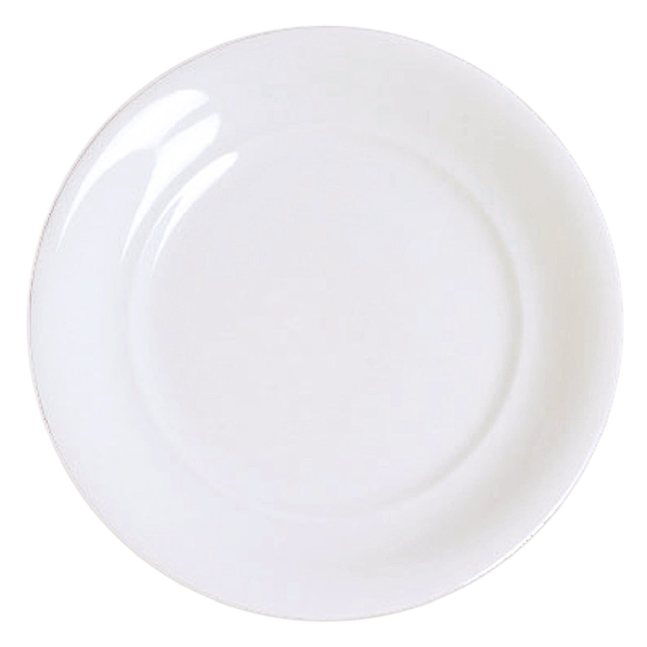 "Ena" Dinner Plate by Ena Rottenberg