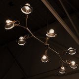 "Brachiated Lens" Chandelier by Neptune Glasswork