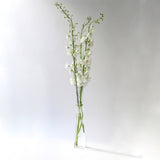 Drinking Set No. 282 "Vase" by Ted Muehling