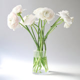 Drinking Set No. 282 "Vase" by Ted Muehling