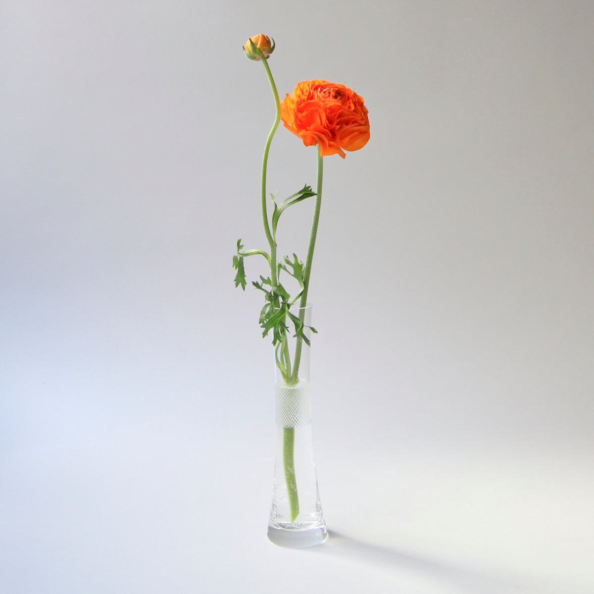 Drinking Set No. 282 "Bud" Vase by Ted Muehling