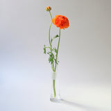 Drinking Set No. 282 "DOF" Tumbler by Ted Muehling