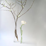 Drinking Set No. 282 "Branch" Vase by Ted Muehling