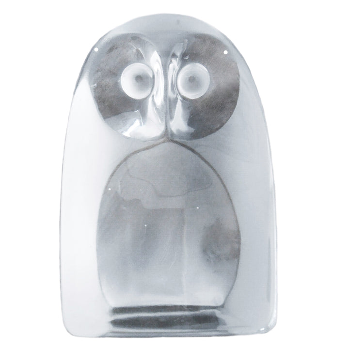 Glass Owl